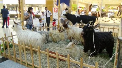 Ninova Park Avm'de Bayram Heyecanı