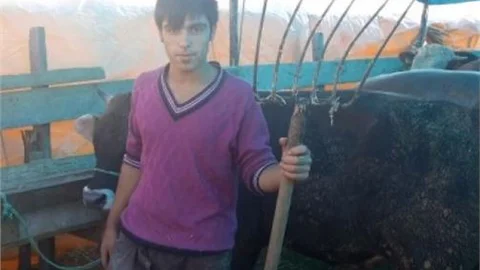 (özel Haber) Kurbanlığı Çalınan Satıcıdan 'dirgenli' Gece Nöbeti