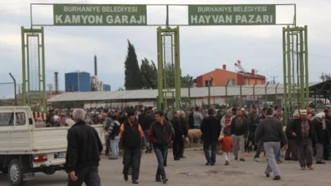 Burhaniye Hayvan Pazarı'nda Sıkı Denetim