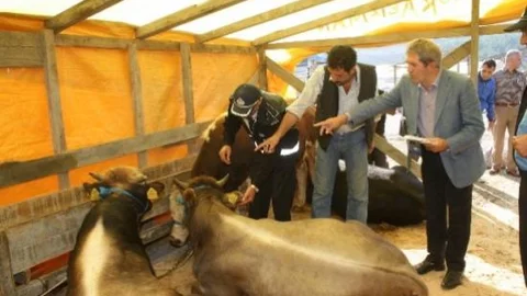 Çekmeköy Belediyesi'nden Kurban Keseceklere Tavsiyeler