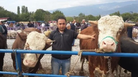 900 Kiloluk 'paşa'ya İlgi