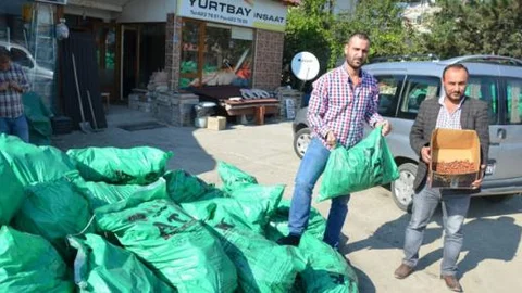 1 kilo fındığı getir, 25 kilo kömürü götür!