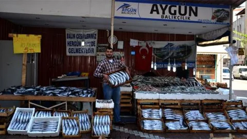 Denizlerde balık bereketi!