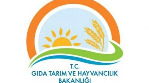 'Rusya ile anlaşıldı'!