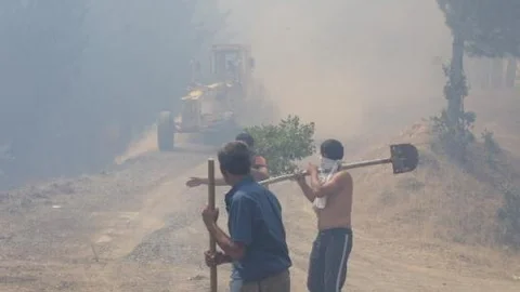 Bingöl'de Çıkan Yangın Kontrol Altına Alındı