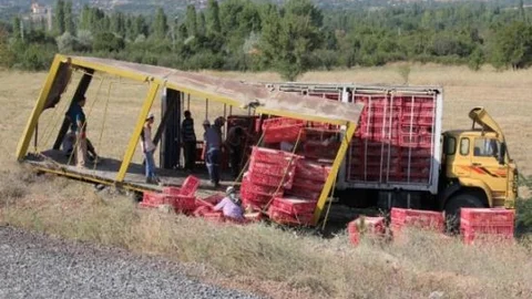 Çankırı'da Tavuk Yüklü Tır Devrildi