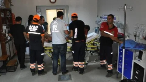 Ayıyı Soluksuz Bırakarak Kurtuldu