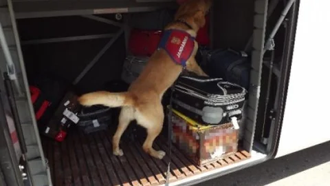 Ağrı'da Kaçakçılık Operasyonu