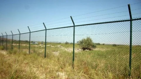 Ağrı Dağı'nda Artık Ceylanlar Gezecek