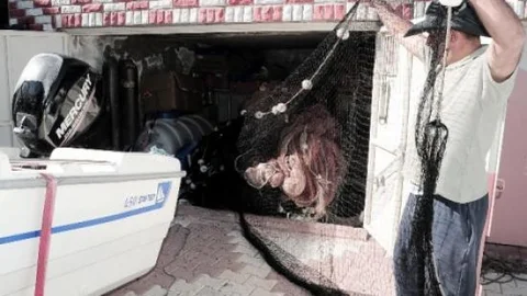 Yozgat'ta Balık Avına Yakın Takip