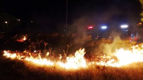 Bodrum'da Örtü Yangını Korkuttu