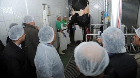 Komek'ten Kurban Kesim Kursu