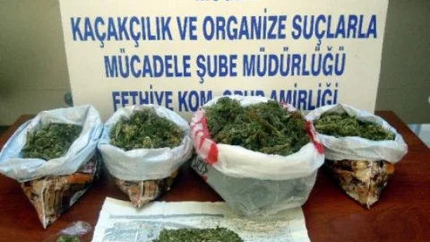 Muğla'da Uyuşturucu Operasyonları