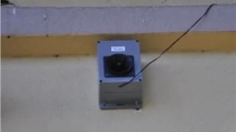 Çareyi Kuş Kovucularda Buldular