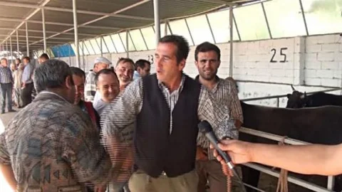 Havran Kurban Pazarında Tosunlara Büyük İlgi