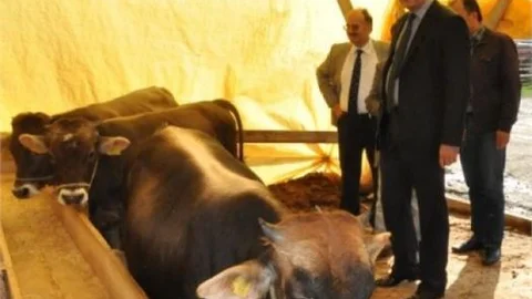 Kurban Derisinden 1 Milyar Dolar Gelir