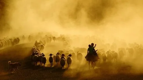 Bitlisli Fotoğraf Sanatçısı Uluslararası Yarışmada 3'ncü Oldu