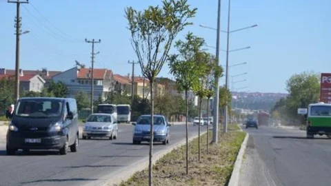 Ergene Belediyesi Ağaçlandırma Çalışmalarına Önem Veriyor