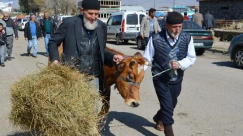 Kaçan Kurbanlıklar Sahiplerine Zor Anlar Yaşattı