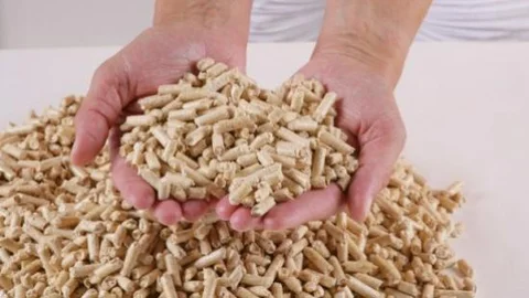 Orman Atıklarından Enerji