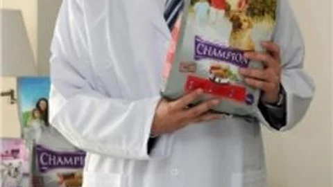 Türkiye'de Kedi Köpek Maması Hâla Lüks Tüketim Olarak Görülüyor