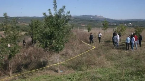 Ensesinden Vurularak Otobana Atıldı