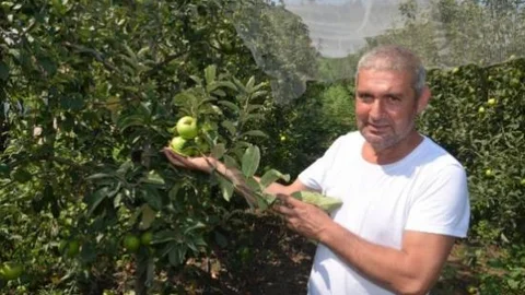 Organik Tarım Fatsa'da Benimseniyor