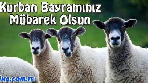 Kurban Bayramınız mübarek olsun!