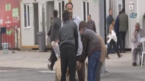 Avustralyalı ailenin kurban pazarı merakı!