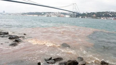 İstanbul Boğazı kan gölüne döndü!