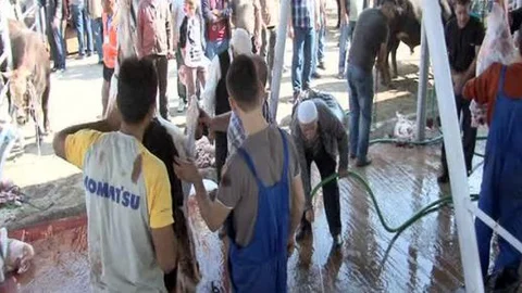 Bu da mecburi kaçak kesim!