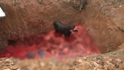 Düştüğü çukurdan 3 saatte çıkarıldı!