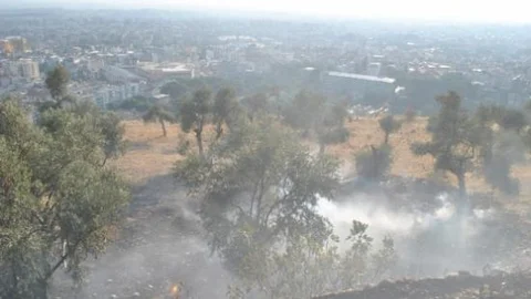 Aydın'da Arazi Yangını Korkuttu