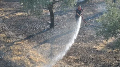 Aydın'da arazi yangını korkuttu!