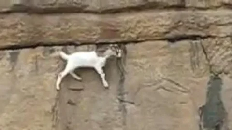 Küçük çocuğun inanılmaz ölümü!