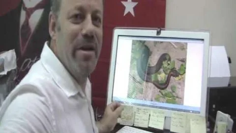 Boynuzlu Engerek Yılanı Yabancıların Tehdidi Altında