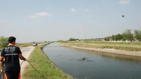 Suriyeli Çoban Sulama Kanalında Boğuldu