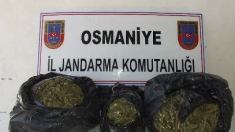 Osmaniye'de Uyuşturucu Operasyonu