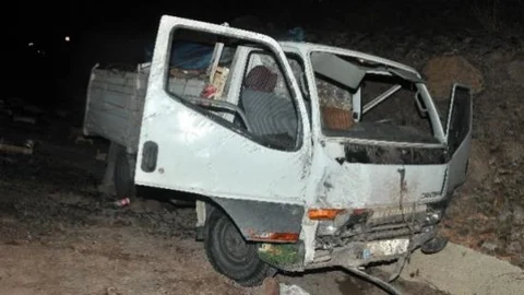 Gümüşhane'de Üzüm Yüklü Kamyonet Kaza Yaptı: 1 Yaralı