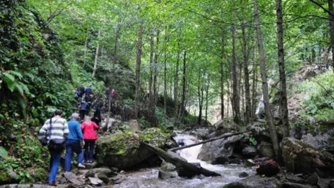Gümüşhaneli Dağcılar Örümcek Ormanlarında Yürüdü