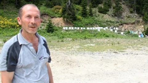 Fındıktan Sonra Bal Rekoltesi De Düşük