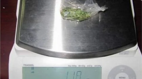 Afyonkarahisar'da 22 Adet Satışa Hazır Bonzai Ele Geçirildi