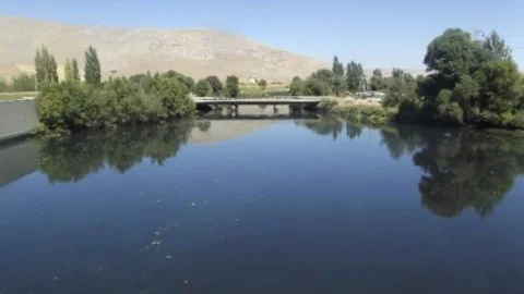 Balık Ölümleri Mercek Altında