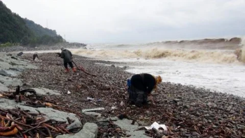 Dalgalı Denizde Ölümle Burun Buruna Odun Topluyorlar