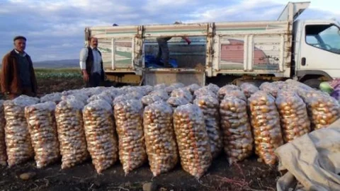 Kars'ta Bostancıların Mahsül Sökümleri Başladı