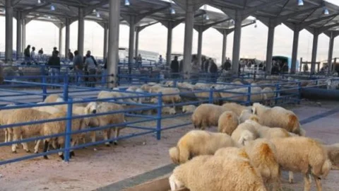 Kurban Kesim Yerleri Belirlendi