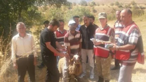 Jandarma Kurban Bayramı Öncesi Hayvan Sahiplerine Uygulamalı Eğitim