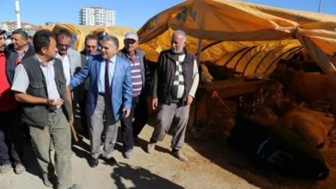Başkan Büyükkılıç Serkent Kurban Pazarı Denetiminde