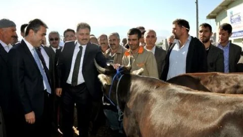 Başkan Ahbet Çakır Hayvan Pazarı'nda İnceleme Yaptı
