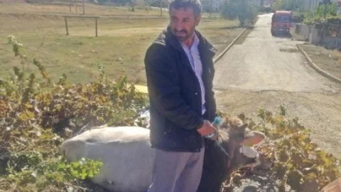 Kaçan Boğa Ortalığı Birbirine Kattı